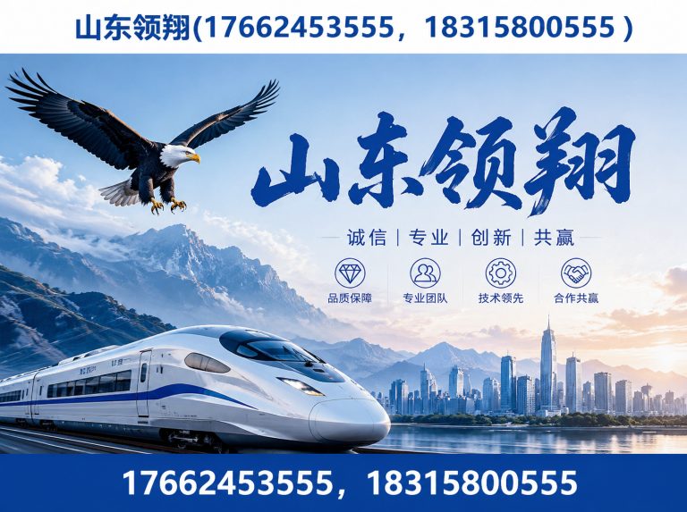 西安山东领翔展示图